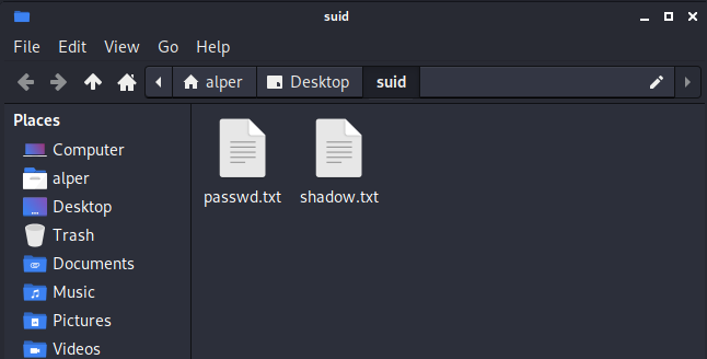 Listing showing both passwd and shadow files