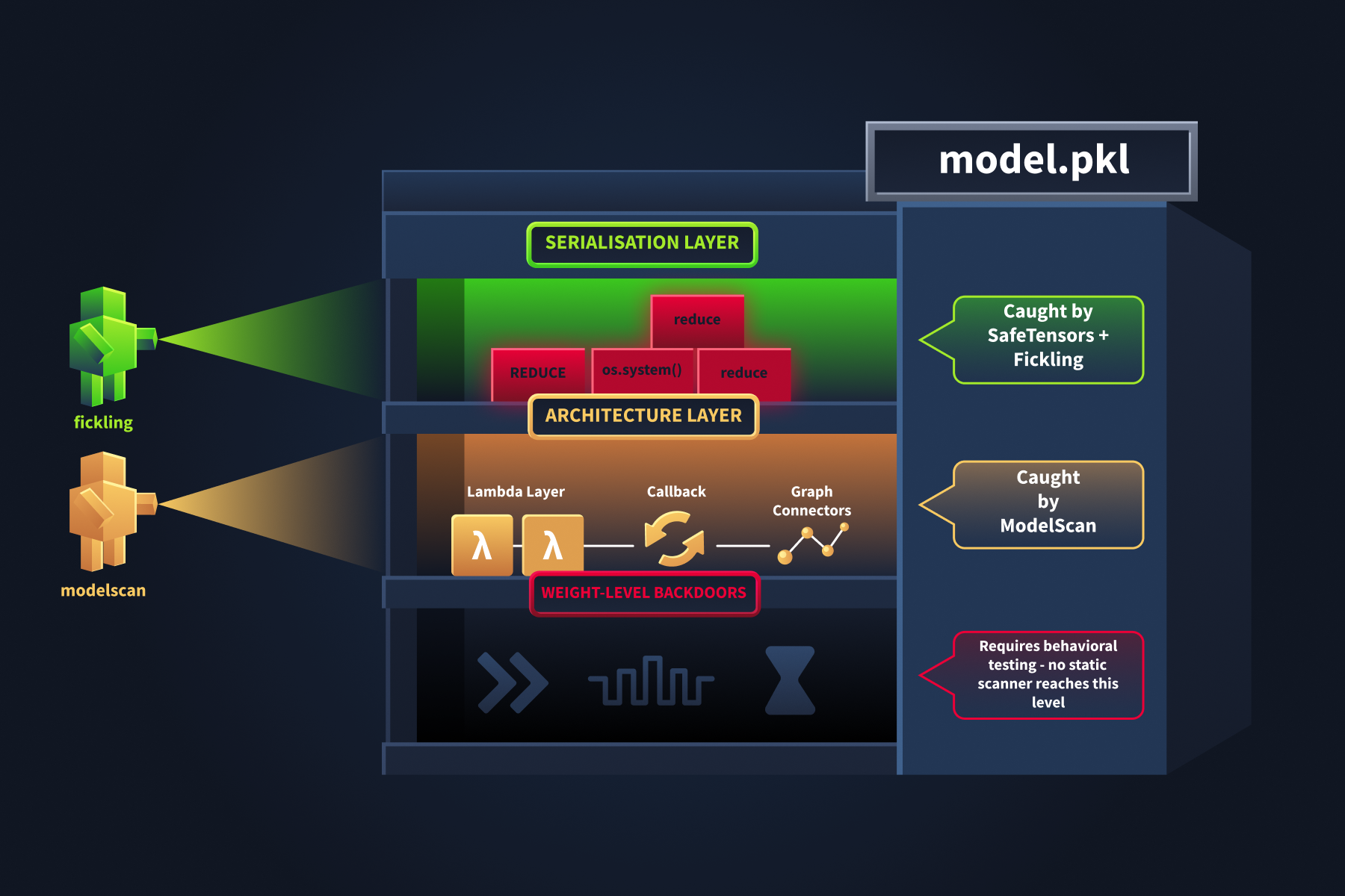 Model Anatomy Cross-Section