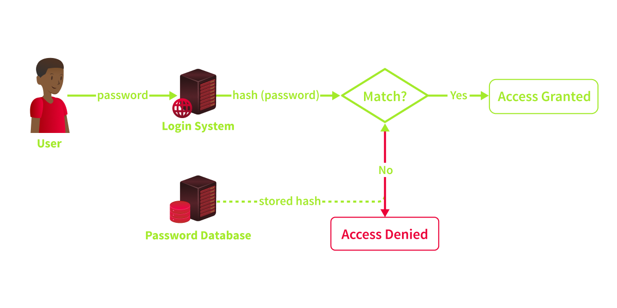 A login authentication flow diagram. A user submits a password to a Login System, which hashes it and compares it against a stored hash from a Password Database. If the hashes match, Access is Granted; if not, Access is Denied.