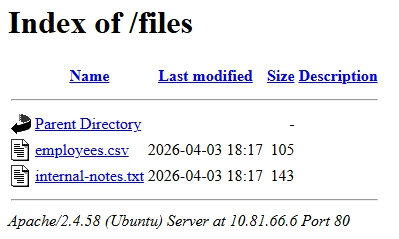 Directory listing on the Apache Server.