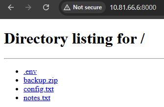 Directory listing enabled through the Python server.