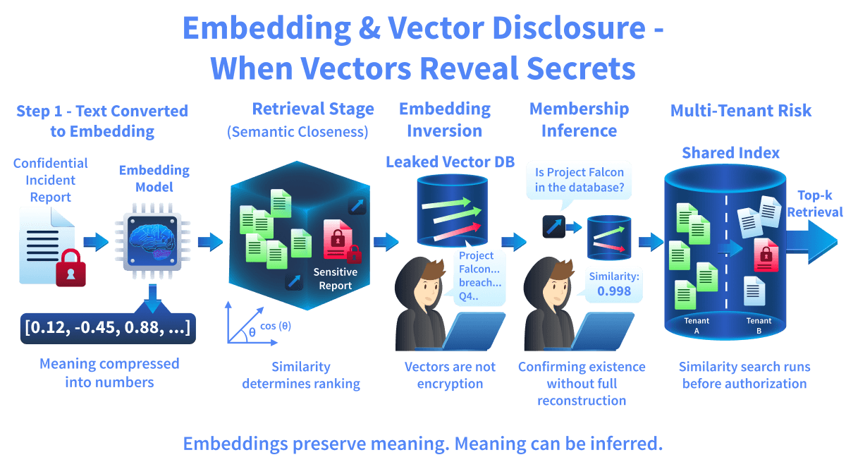 Embedding and Vector Disclosure explained.
