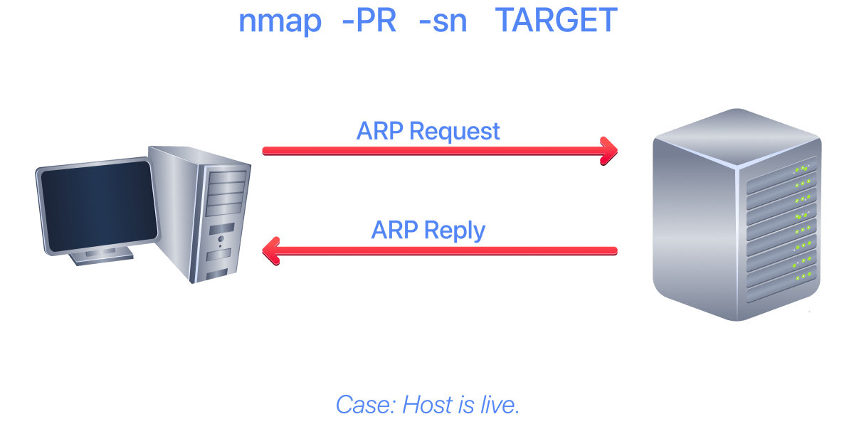 Using Nmap with -Pr when host is live.