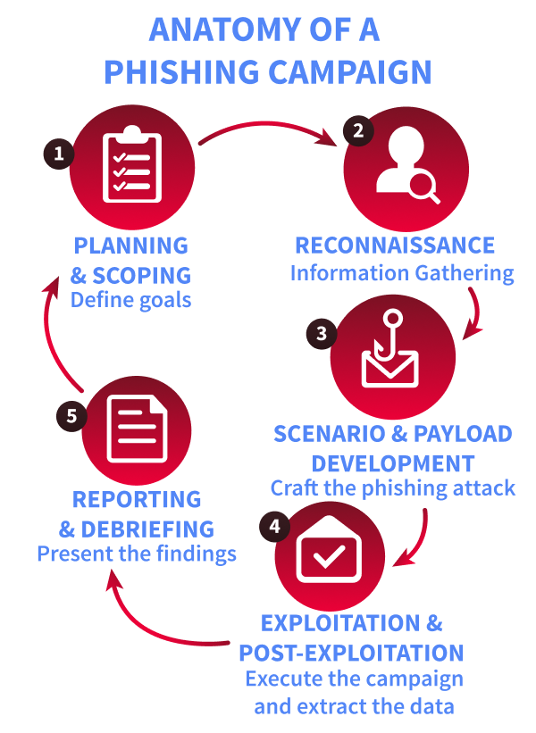 Circular infographic titled 'Anatomy of a Phishing Campaign' showing 5 stages: 1) Planning & Scoping – Define goals, 2) Reconnaissance – Information Gathering, 3) Scenario & Payload Development – Craft the phishing attack, 4) Exploitation & Post-Exploitation – Execute the campaign and extract the data, 5) Reporting & Debriefing – Present the findings. Arrows show the cycle flowing from stage 1 through 5 and looping back.