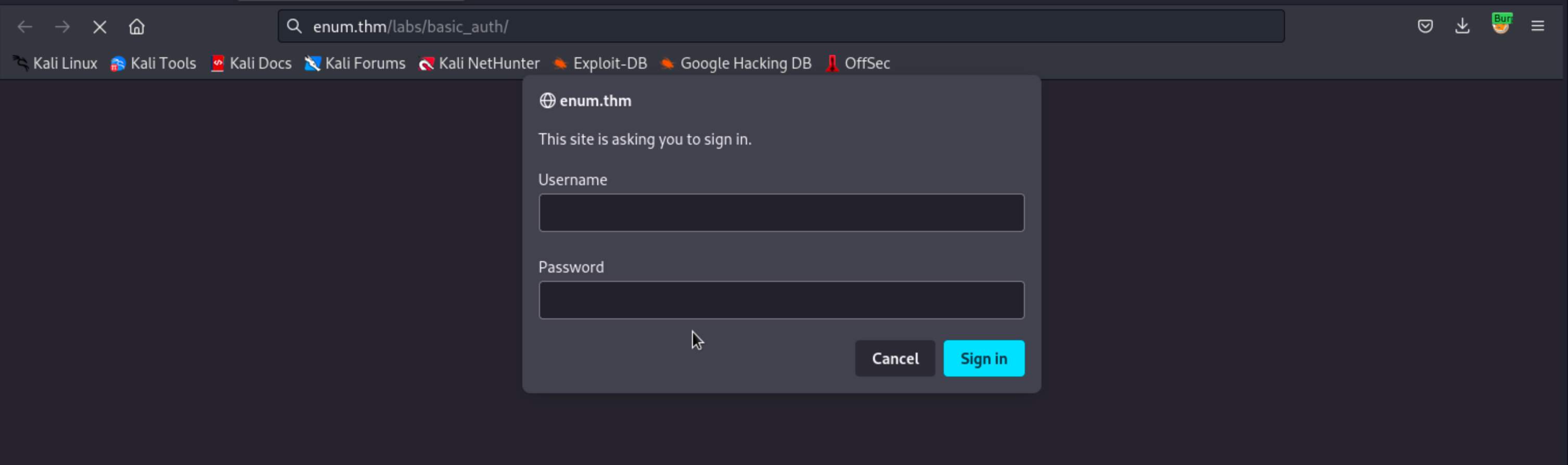 Basic Authentication Lab Homepage