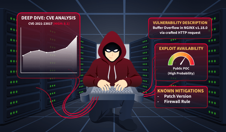 Vulnerability Analysis